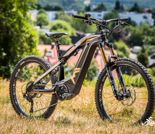 Gyönyörű fotókon a M1 Spitzing Evolution Bobby Root Edition! M1 Spitzing Evolution Bobby Root Edition ebike