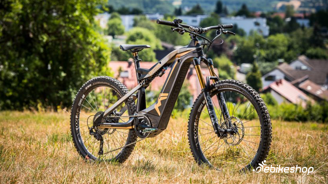 M1 Spitzing Evolution Bobby Root Edition ebike