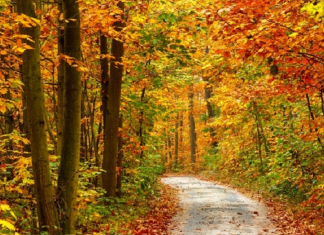 Rövidebb őszi túrák országúti vagy trekking bicajjal börzsönyi biciklitúra