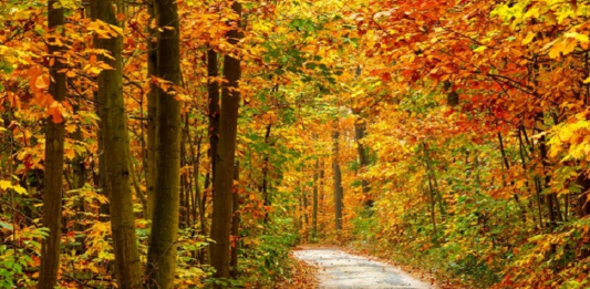 Rövidebb őszi túrák országúti vagy trekking bicajjal börzsönyi biciklitúra