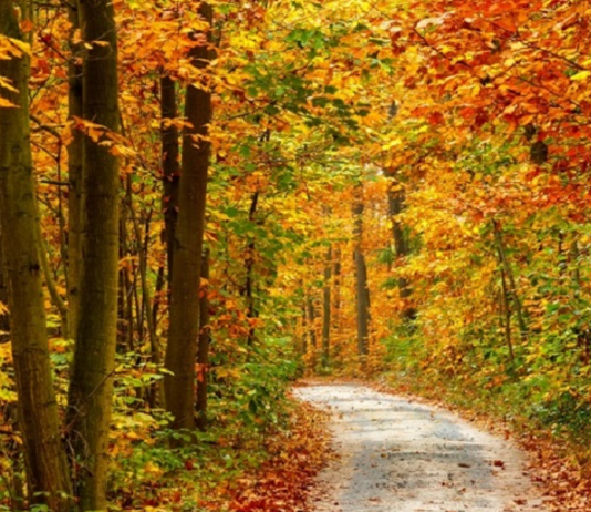 Rövidebb őszi túrák országúti vagy trekking bicajjal börzsönyi biciklitúra