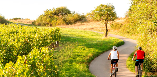 Két keréken Alsó-Ausztriában Ebike túra Ausztria