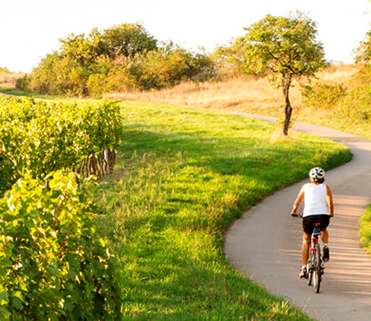 Két keréken Alsó-Ausztriában Ebike túra Ausztria