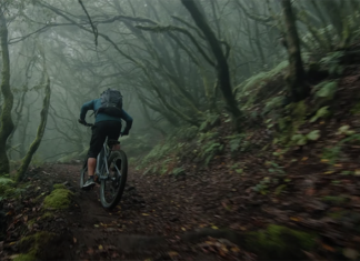 Itt a Bosch Performance Line CX MY 2021! Bosch motor frissítés