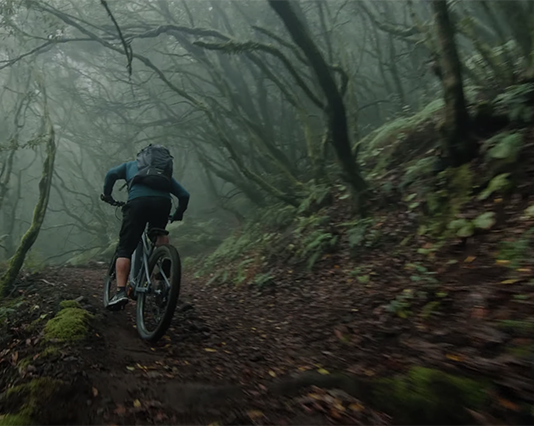 Itt a Bosch Performance Line CX MY 2021! Bosch motor frissítés