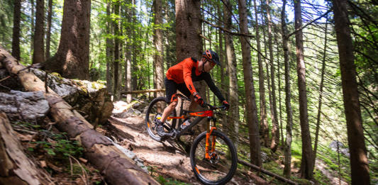 MTB-vel a Bécsi-erdőben! erdei biciklitúra