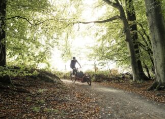 Őszi bakancslista: túraútvonalak, amik ilyenkor a legszebbek