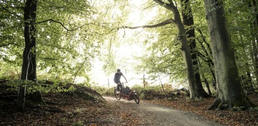 Őszi bakancslista: túraútvonalak, amik ilyenkor a legszebbek