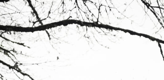 Mit vigyek magammal? Mit vigyek magammal?